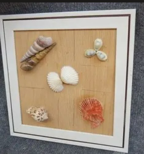 Seashell Decoration Series 12