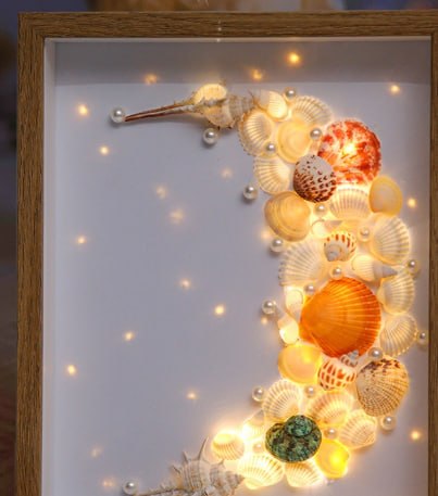 Seashell Decoration Series 11