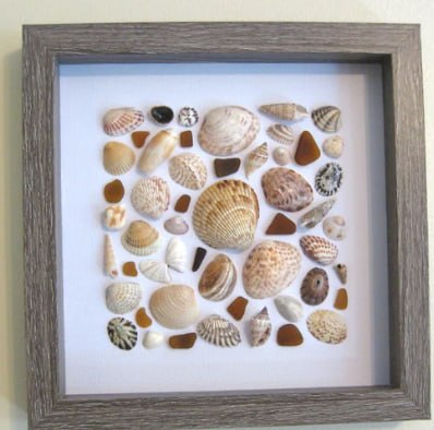 Seashell Decoration Series 13